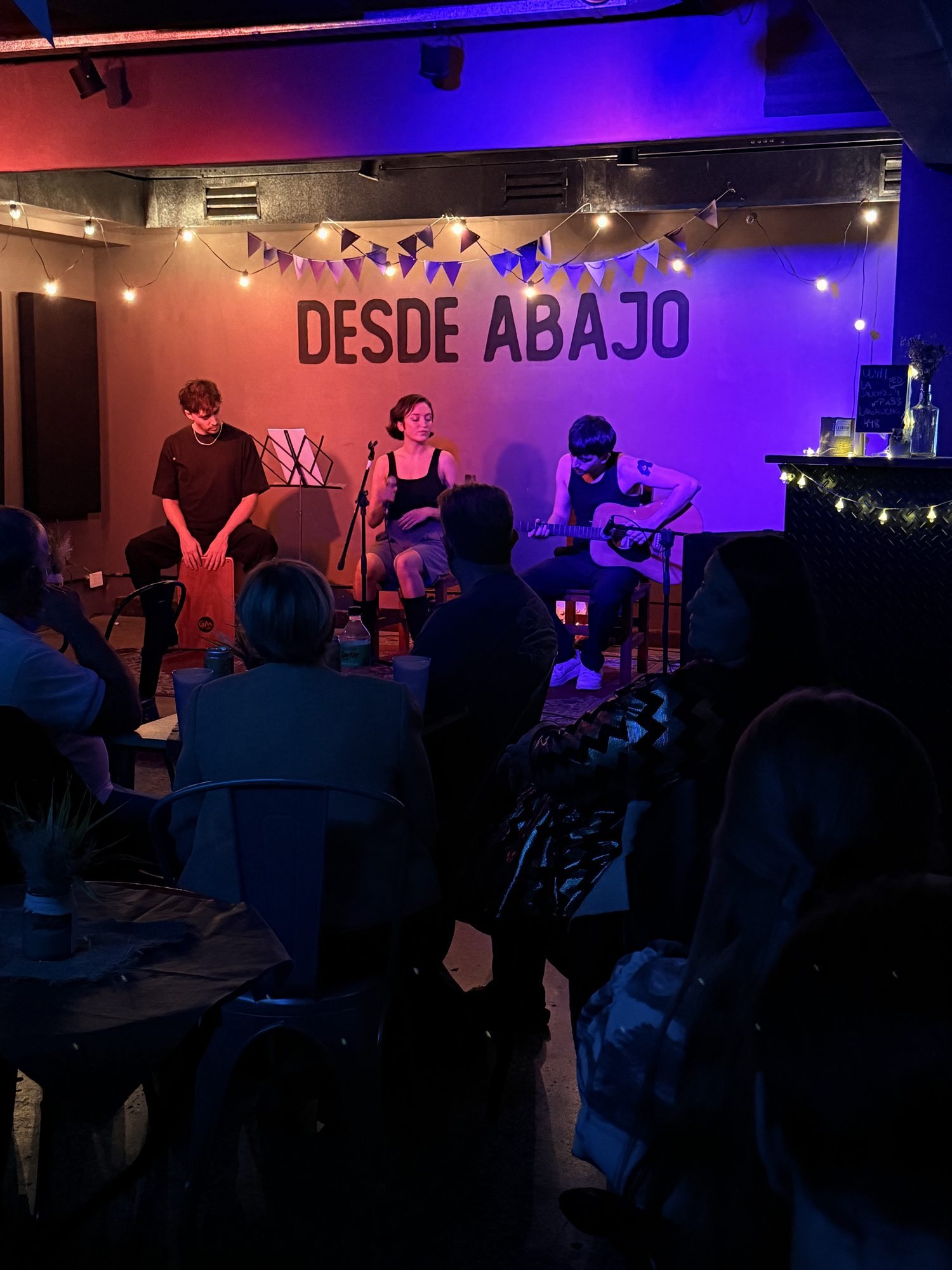 Trío a sala llena — La Gaucho